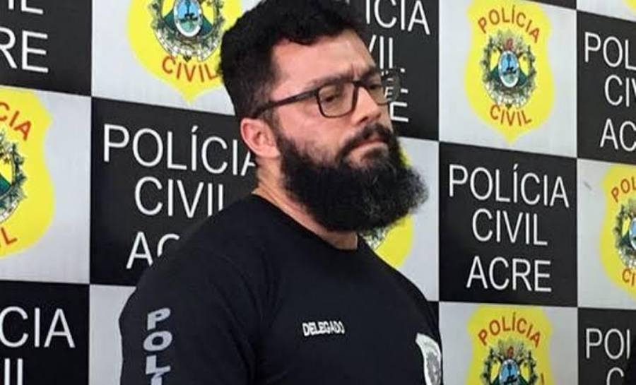 Delegado Alerta Que Maus Tratos Excessivos C Es E Gatos S O Punidos