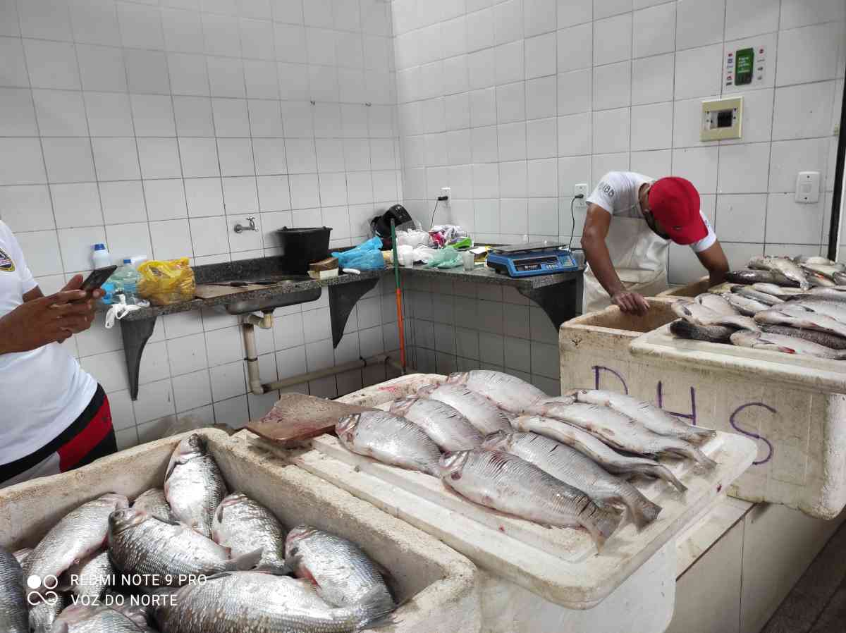 Mercado do Peixe e feiras estão abastecidos com peixe do ...